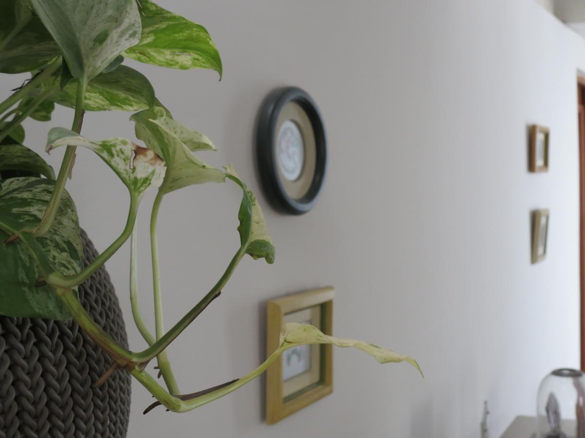 Miraflores Inn Lima Ngoại thất bức ảnh